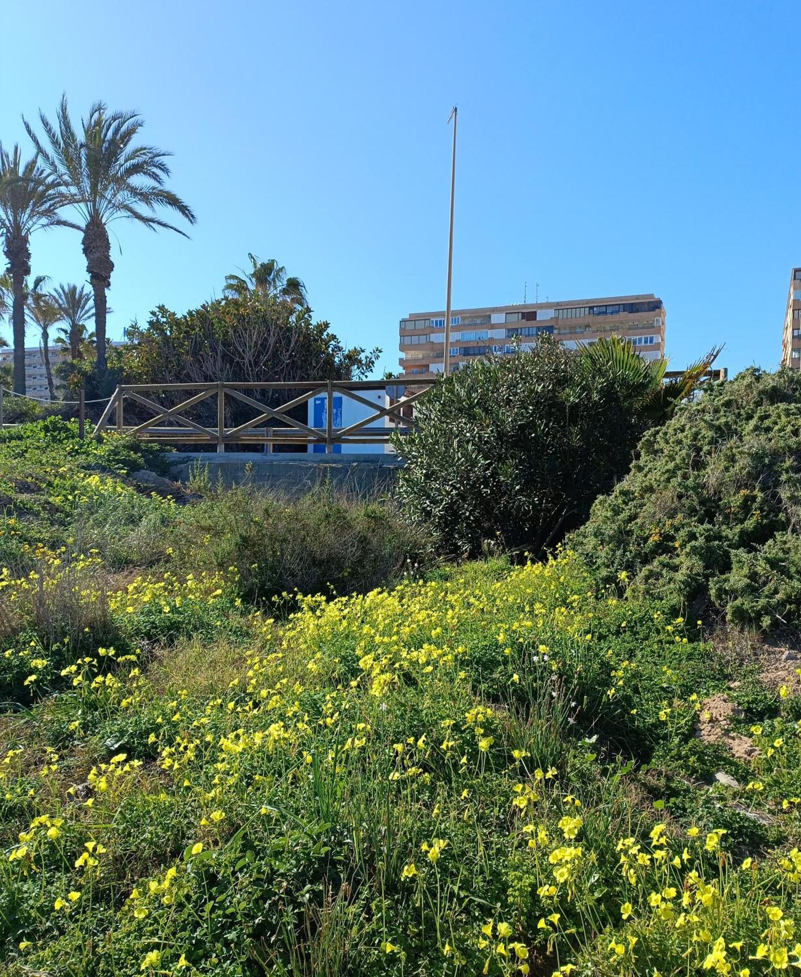 Apartamento Miramar Torrevieja Luaran gambar